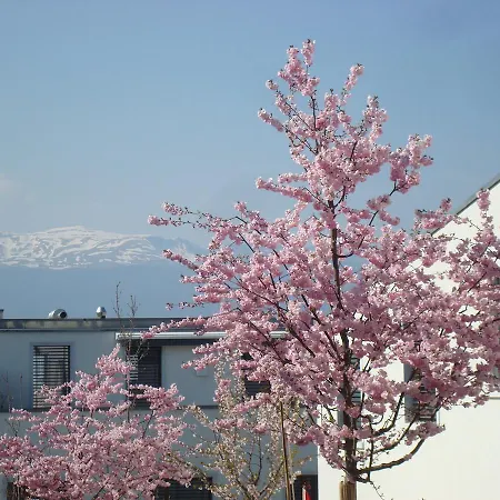Wonderlandscape 4*