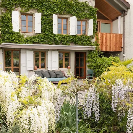 Wonderlandscape Bed & Breakfast Le Grand Saconnex